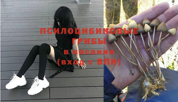 молекула духа Инта