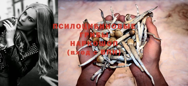 амф Инсар