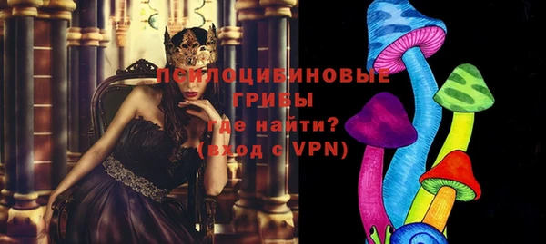 молекула духа Инта
