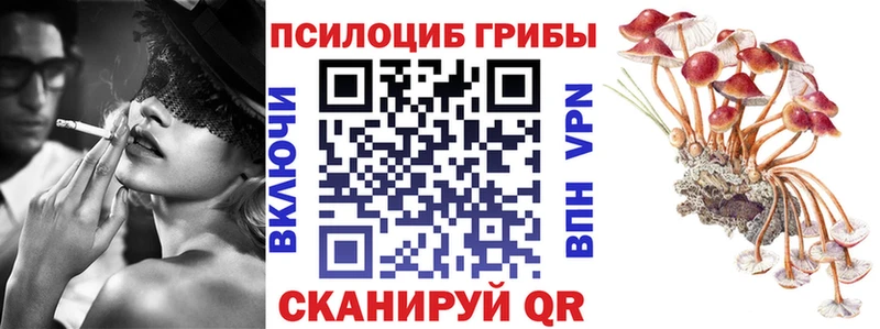 Псилоцибиновые грибы GOLDEN TEACHER  наркотики  Нефтекамск 